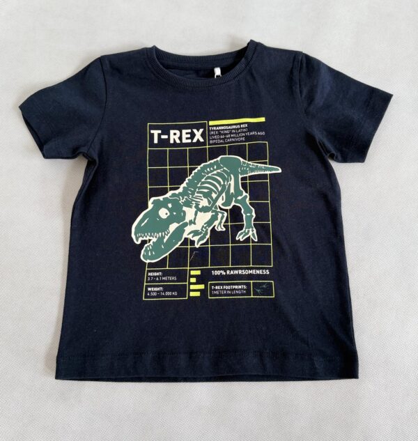 T-SHIRT "T-REX" NAME IT ROZM. 92